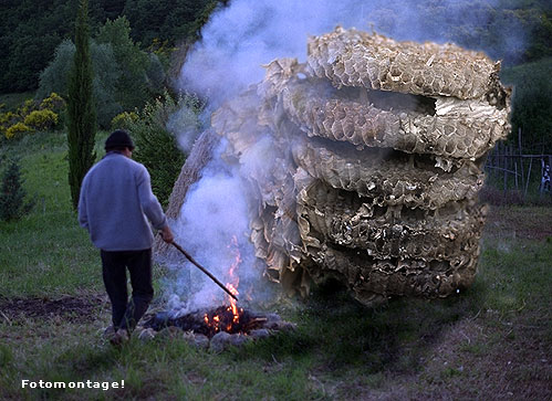 Fotomontage Riesenhornissennest im Feuer