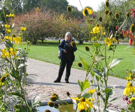 Blumen in Marzahn