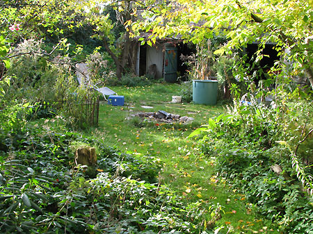 Herbst im weilden Garten