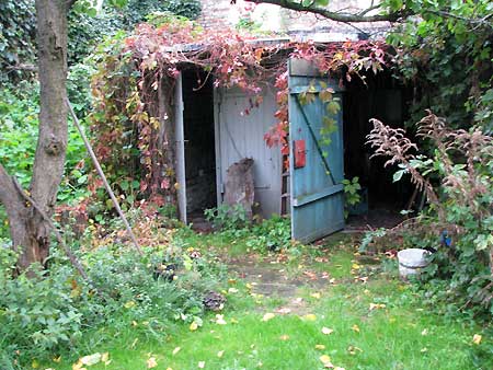 Wilder Wein um den Eingang zur Remise