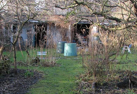 Wilder Garten im Januar