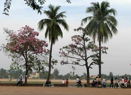 Riverside TonleSap