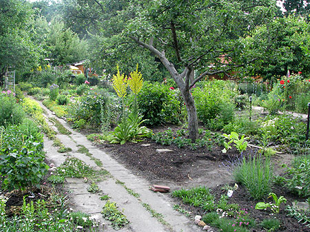 Garten in der KGA Frieden