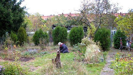Thuja-Reihe, November 2008