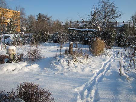 Garten im Winter