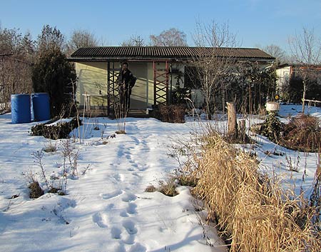 Garten im Schnee