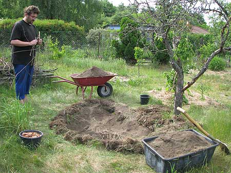 Kleines Terra Preta-Versuchsbeet