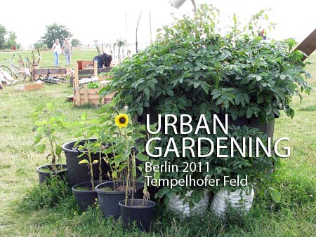 Urban Gardening Berlin Tempelhof