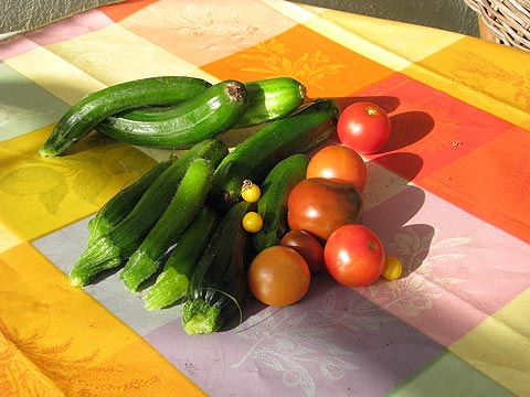 Gemüse-Ernte