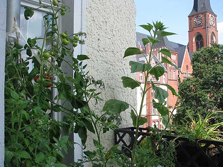 Balkongarten