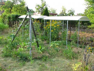 58+ Gärtnern Bei Extremer Trockenheit Und Hitze Im Gemüsegarten,