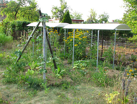 Garten Ende Juli