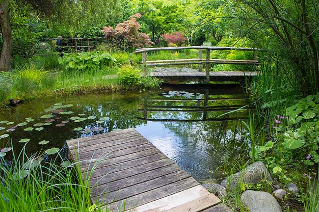 Gartenteich