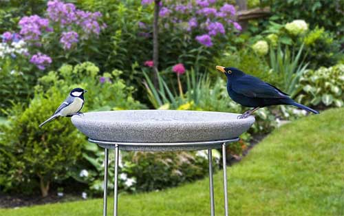 Vogeltränke mit Ständer