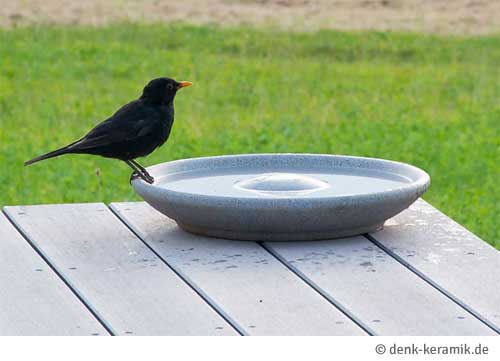 Vogelbad mit Mittelinsel