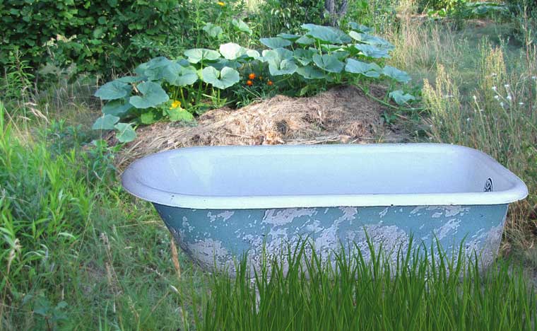 Badewanne im Garten