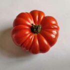 Tomate Brandywine Red