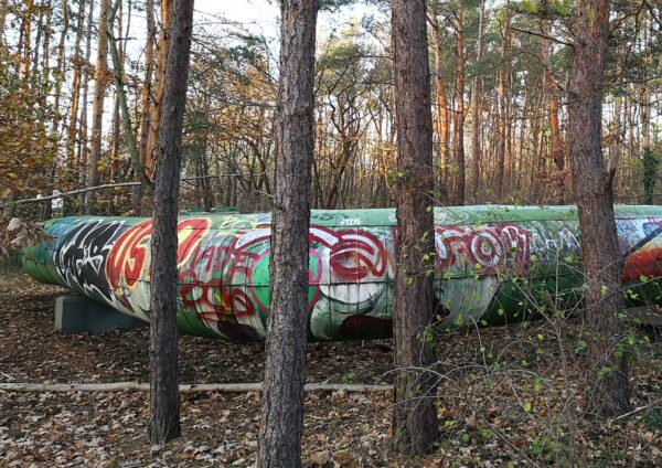 Rohr im Wald