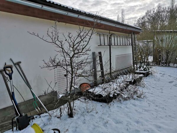 Gartenhaus-Rückseite