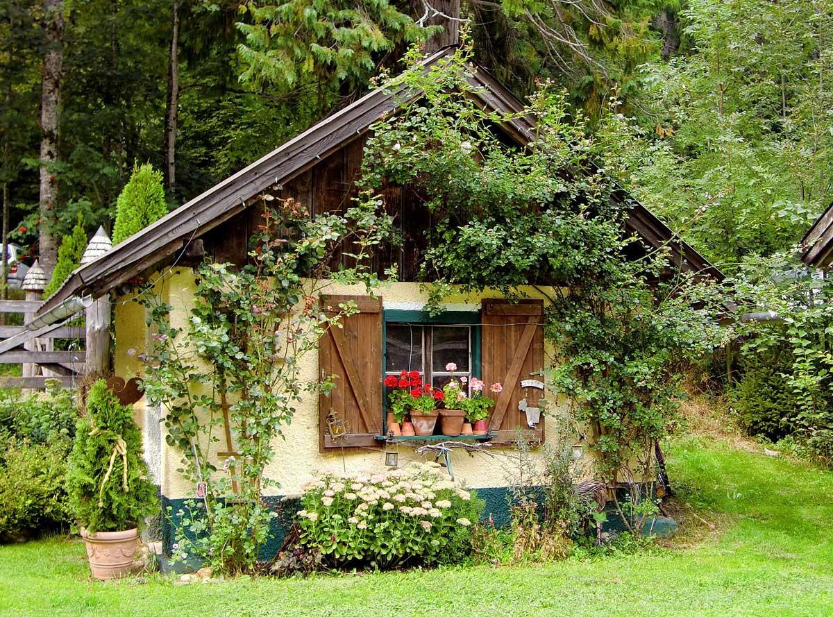 Gartenhaus Tipps für die Auswahl und Bepflanzung › Seite