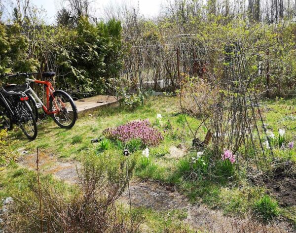 Garten, Eingangsbereich