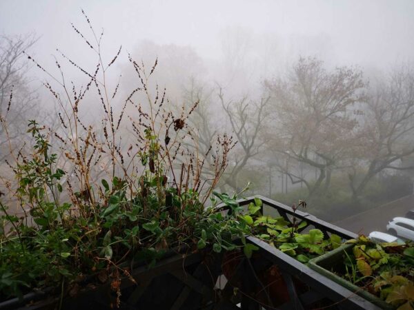 Nebel Balkon