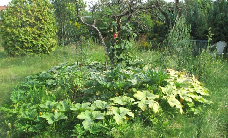 Gartenarbeit naturnah Gärtnern in der Kleingartenanlage › Seite