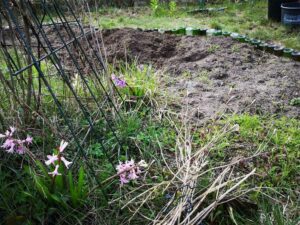 Das wilde Gartenblog vom faulen Gärtnern und der Liebe zu allem, was