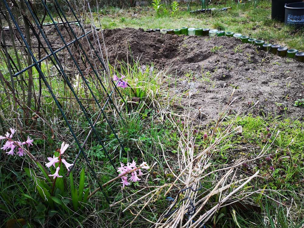 Flaschenbeetsanierung