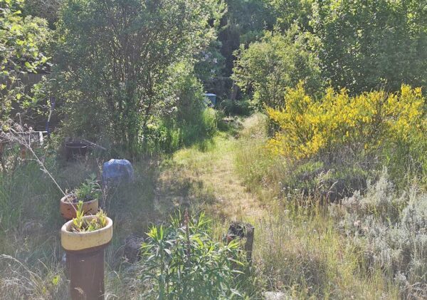 Gartenblick