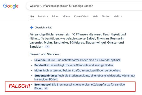 falsches KI-Ergebnis